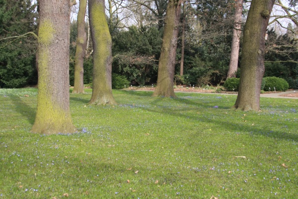 Fruehling 2009   060.jpg